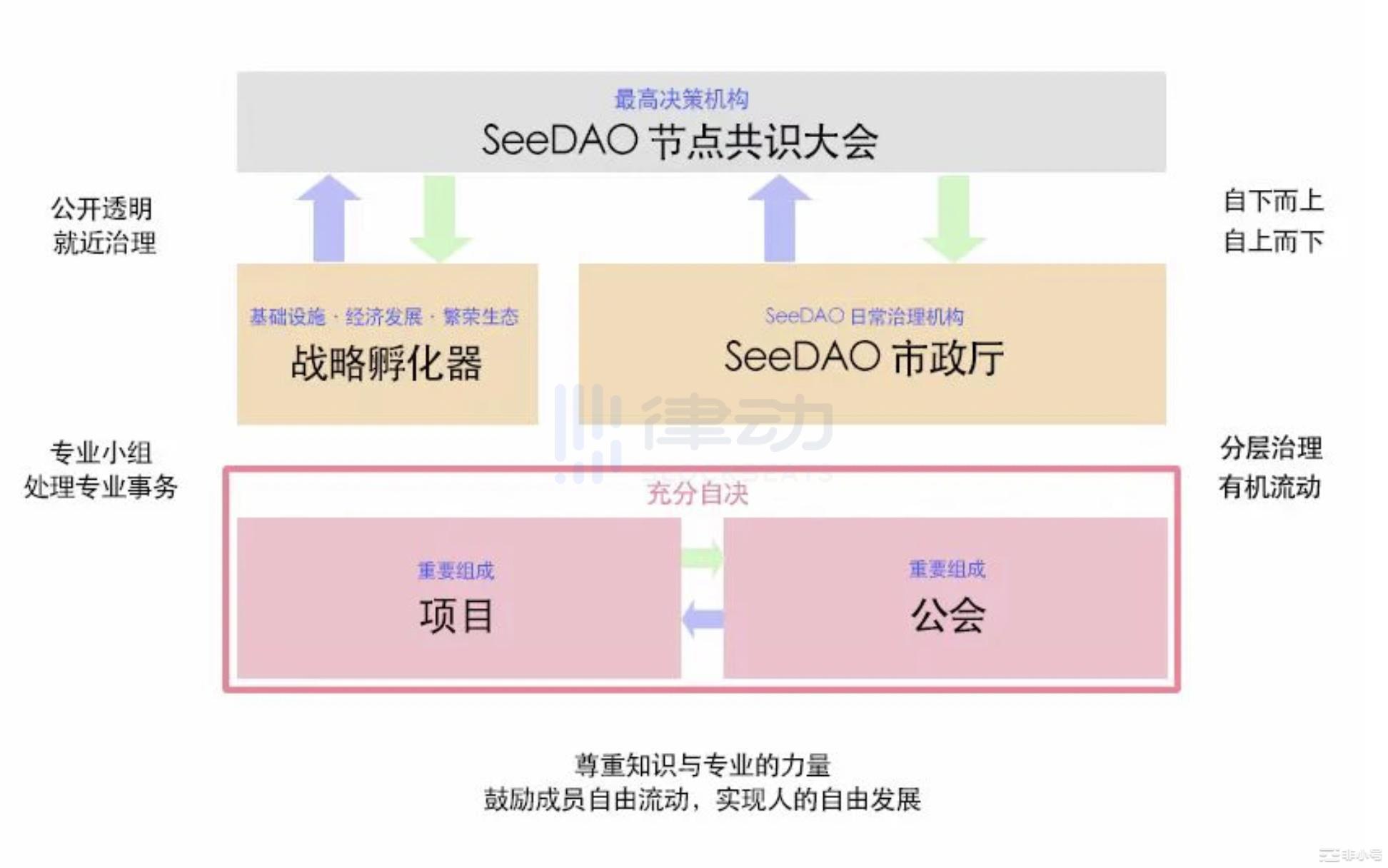 SeeDAO万字专访：11个月4次低谷如何从停滞中重生？