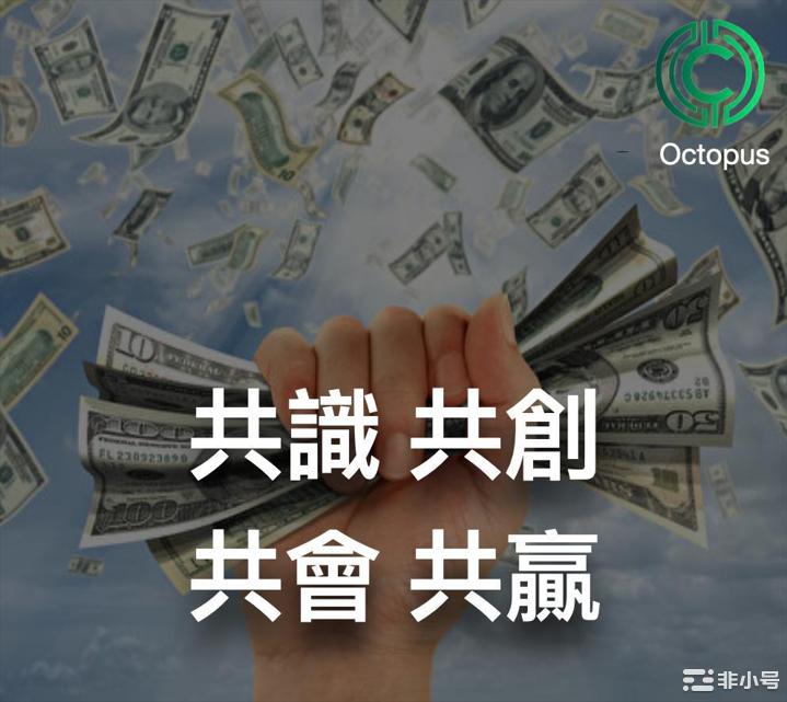 Octopus交易所--乘着政策东风扬起资本大帆