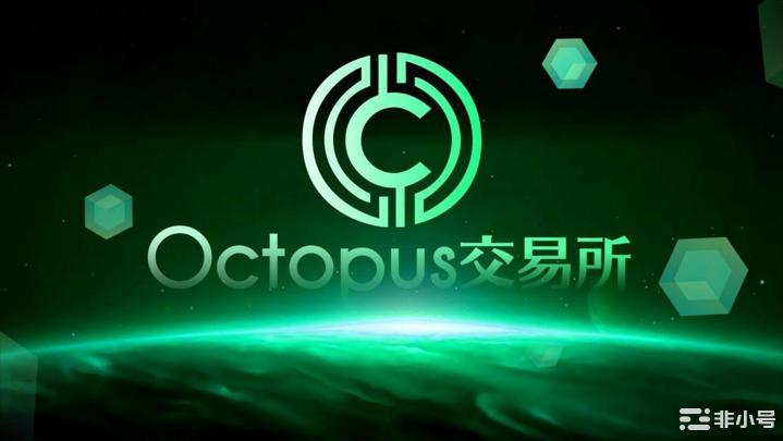 Octopus Global全球战略