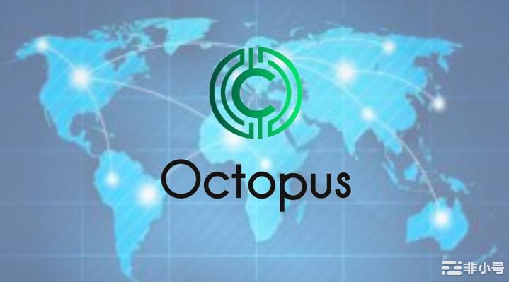 为什么Octopus的量化托管会吸引更专业的投资者