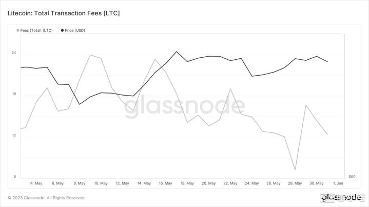 LTC以可观的收益给投资者带来惊喜；这是接下来可能发生的事情