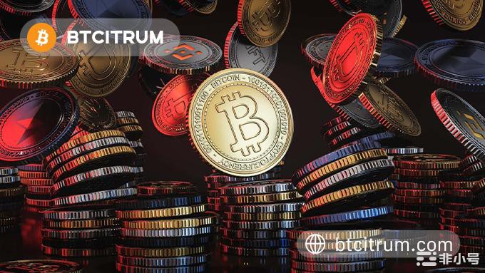 Btcitrum信托基金：向阳而生扶摇而上未来可期