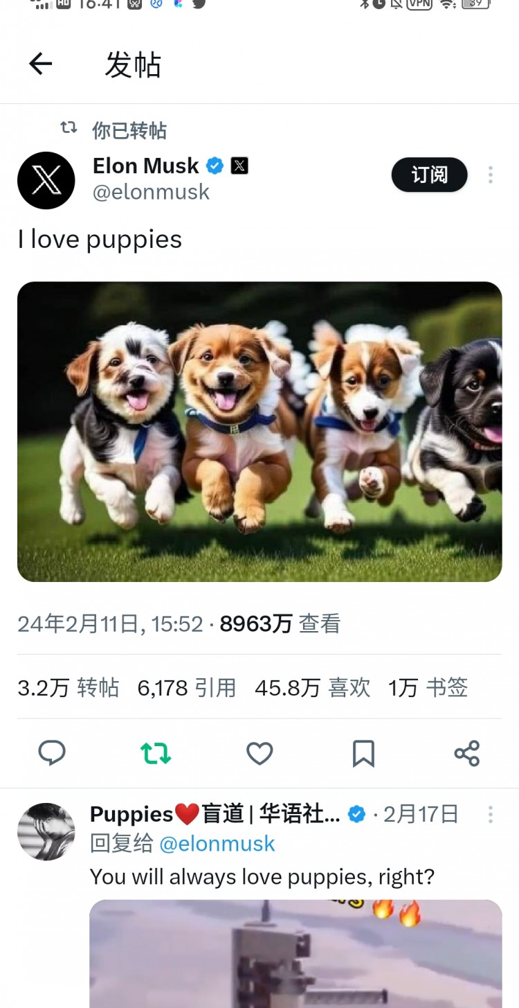 DOGESHIBFLOKI之后马斯克新喊单的正宗新狗你知道是什么