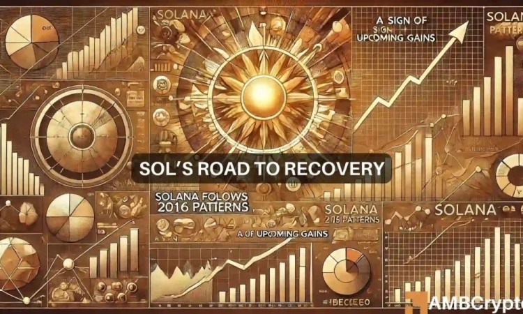 受到市场影响的加密货币：Solana [SOL] 及其他山寨币走势分析