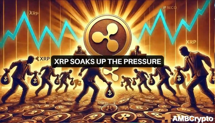 XRP 价格预测——未来一周或再次达到 0.50 美元