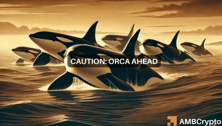 Orca 加密货币价格预测：前方是买入机会，还是牛市陷阱？