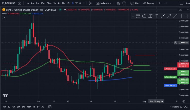 BONK 价格分析